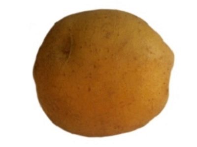 Лучший позднеспелый (поздний) картофель 2022-2023 года: какой позднеспелый(поздний) картофель лучше купить, как правильно выбрать, фото,характеристики, урожайность, описание
