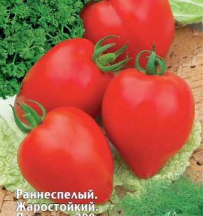 Лучшие томаты, устойчивых к вершинной гнили, 2023 года: какие сорта томатов,устойчивых к вершинной гнили, лучше купить, как правильно выбрать, фото,характеристики, урожайность, описание